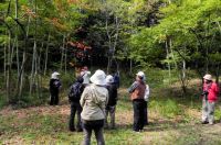 27日：植物園を楽しむ会「秋の花と果実の不思議を楽しむ」