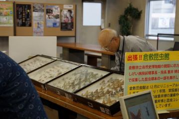 昆虫館は12月のリニューアルを控えて，重井博 前理事長の採集された標本の一部を展示されていました。