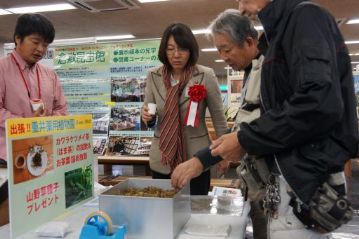 伊東市長は，カワラケツメイのお茶を見られたのは初めてだったようです。