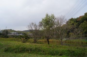 9月、10月と天候に恵まれていたのですが、今回は朝から時折雨が降り、やや肌寒い、あまりよろしくない天気となりました。