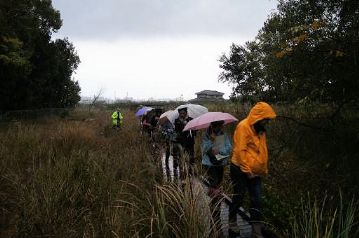 雨がかなり強くなってきたので、足早に次の観察ポイントへ移動。