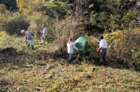 15日：希少植物自生地草刈り保全作業