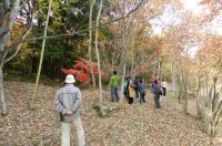 1日：「植物園を楽しむ会」（竹とんぼ作りを楽しむ）午後の園内観察の様子