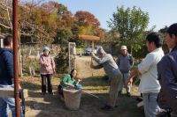 7日：「まにわ山歩」見学来園（餅つきイベントの様子）