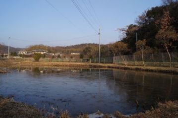 寒波の影響で、冷え込む日が続き、楽しむ会の当日も温室エリアの池は半分ほど凍結していました。ただ、空は快晴、風も弱く、たき火日和でした。この日の参加人数は過去最高の105人でした。