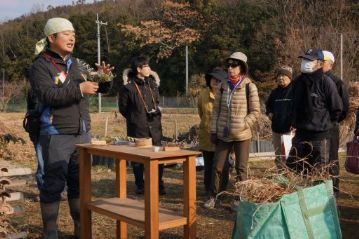 お飾りに使われているシダ植物のウラジロについて説明。昔は山にウラジロを取りに行ったそうですが、最近は里山の下刈りをしないので、巨大なウラジロばかりになり、お飾りサイズのウラジロは見つけにくくなりました。