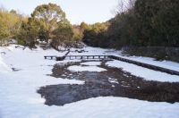 9日：積雪の湿地エリア