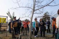 12日：「植物園を楽しむ会」（樹木の冬芽観察を楽しむ）