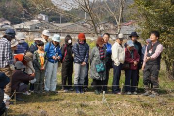 まずは温室エリア内の植物から。まだ花は少ないようですが，この時期ならではのものもあります。