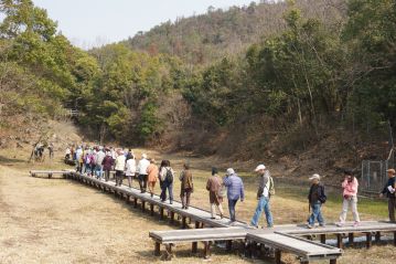 湿地エリアの奥に向かって移動中。先頭の園長がショウブ池の縁で怪しい動きをしています。