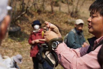 アオダイショウを持ったままでスミレの花の解説をする園長。参加者の人が少し，遠ざかっているような？