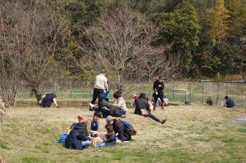 お粥を食べた後は温室エリアの中にたくさん生えているツクシ摘みなどをしていただきました。もうお弁当を広げている人も。