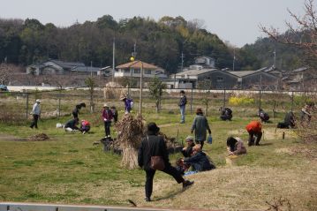 閉会後も，ツクシを摘む人，ノビルを掘る人，お弁当を広げる人など，思い思いにのんびりと春の植物園を楽しんでいただきました。