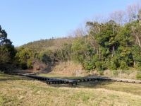 28日：芽生えの季節を待つ湿地エリア