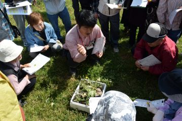 まずはタンポポの話。園内に自生しているタンポポの他にも温室内で栽培しているちょっと珍しいタンポポも解説しました。