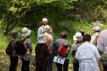 まずはショウブについての解説と観察。最近はアヤメ科のハナショウブ＝ショウブだと思っている方が結構おられます。端午の節句のショウブはショウブ科の植物です。