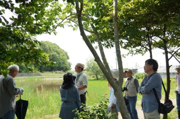 コブシの木陰で休憩中…？行きには紹介しなかったのですが、よくよく枝先を見ると…