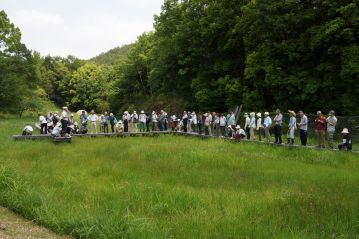 湿地の木道に移動して、お待ちかねのトキソウの観察…と思ったら、なんだか開会時より人がかなり増えています。この日は遅れてきた方がかなりおられたようで、最終的な参加者数は93人でした。