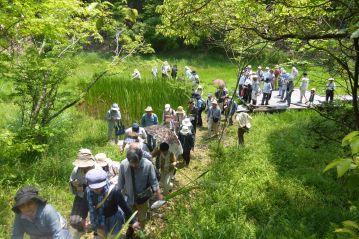 少し暑い日でしたので、ショウブやモウセンゴケの観察を終えた人から、湿地から林の木陰がある方に移動しました。