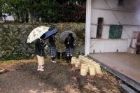 12日：岡山県立井原高校 オキナグサ保護活動（校内で植栽に適した場所を検討しているところ）