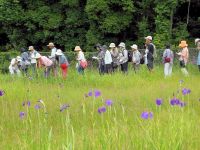 21日：植物園を楽しむ会（梅雨に咲く花々を楽しむ）