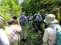 1日：倉敷市立自然史博物館友の会「スゲ観察会」（新見市）