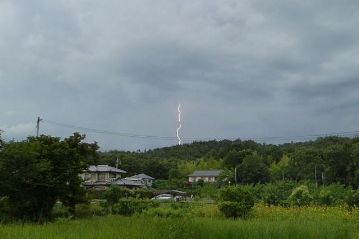 昼過ぎから各地でゲリラ豪雨があったようで、植物園から北の空を眺めると落雷をいくつも見ることができました。不思議なことに植物園ではほとんど雨は降らず、開催に問題はありませんでした。