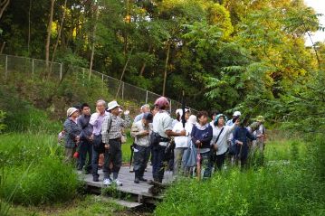 湿地奥のデッキ部分で、参加者の方から質問があったので、ちょっと立ち止まって説明。