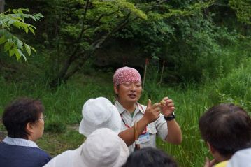 実は緑の果肉（外果皮）の中に、堅い木質の内果皮があり、これがいわゆる「クルミの殻」の部分です。果実の構造を説明中。