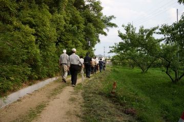 まだ明るいですが、ある理由から、ユウスゲの花の観察はそこそこに、足早に温室エリアに戻ります。