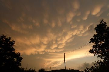 西の空を見上げると不思議な形の雲が出ていました。「鍾乳雲」と言って、大気の状態が不安定な時に出現する雲ですが、結局、この日は一度も傘をささずに観察会を終えることができました。