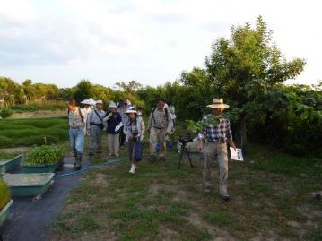 この日の参加者はちょっと少なめ？の29人。明るいうちに、本日の観察対象となる植物の場所を紹介しながら、温室エリア内の植物観察。