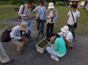 ツキミソウのプランターを囲む参加者の方。なかなか咲きそうにないですが、開花の瞬間を見逃すまいと、目が離せないようです。