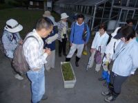 27日：定例観察会「植物園を楽しむ会（ツキミソウの開花を楽しむ）」