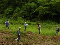 5日：「新庄村の湿地観察会」