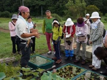 こちらは水草。丸い葉っぱが水面に浮いていますが…？ミツガシワ科の水草が2種類あります。