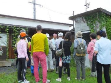 湿地エリアに移動する前に、ボイラー小屋の前に勝手に生えている植物が2種類あったので、紹介することにしました。