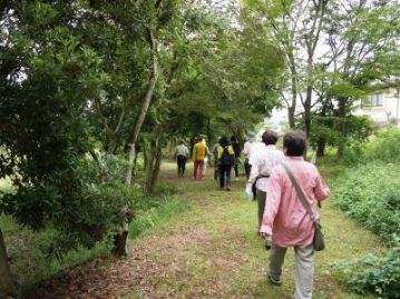 湿地から観察路をぐるっとまわって、また温室エリアに戻ります。