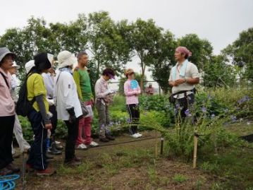 温室エリアに戻ってきて、「朝」と言えばの植物を1つ、紹介しました。