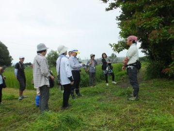 フジバカマの観察を終えたところで、ちょうど終了時間となったので、そのまま閉会としました。たくさんの花々に出会って、気持ちのよい朝となったでしょうか？