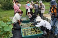 定例観察会「植物園を楽しむ会（朝の植物園を楽しむ）」