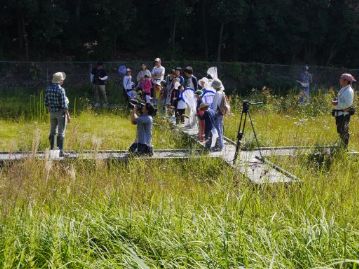 こちらは湿地エリアスタート組。まずは湿地の木道の上からスタート。守安先生から、トンボを採るときの網の振り方についてコツを教えてもらいました。