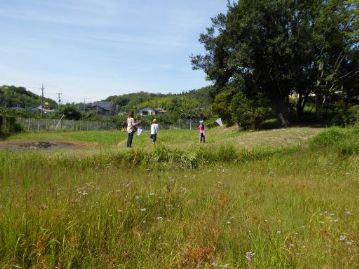 とりあえずは実践です。湿地エリアを自由に駆け回って、トンボを探します。