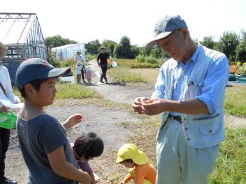 大きなバッタを捕まえたので、脇本先生に名前を聞きます。どうやらショウリョウバッタのメスのようです。