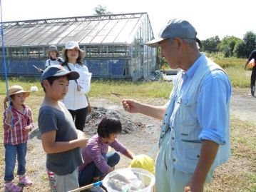 ショウリョウバッタの後脚をそろえて持つと、びょんびょんと動くので、「コメツキバッタ」の別名も。