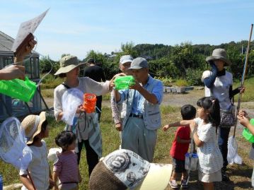 そろそろ湿地エリアスタート組と交代の時間ですので、いったん集まって、捕まえた昆虫を脇本先生にみてもらいます。