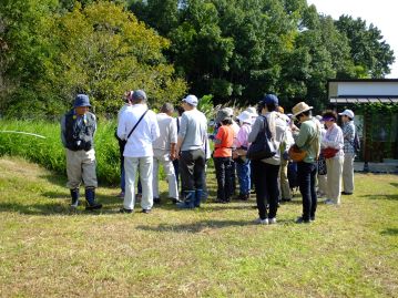 今回は、「マメな植物観察」ということで、「マメ科」の植物に着目します。まずは1種類目を観察。