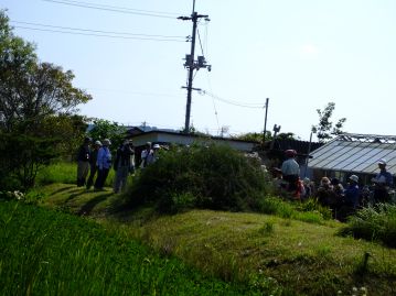 2種類目は池の堤の上でこんもりと叢生している、ハギの仲間。