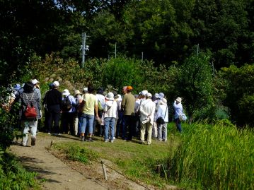 今度は温室エリアの池の北側に回ります。