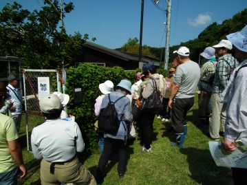 ようやく湿地エリアに移動…する前に温室エリア入り口のフェンスに絡みついている、つる性のマメを観察。これで8種類目。